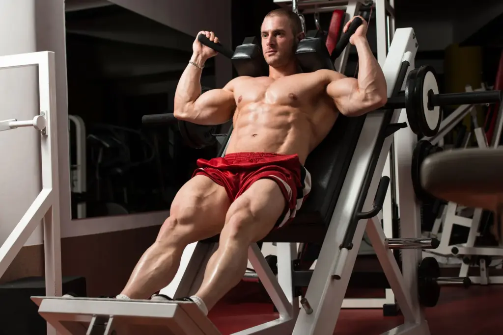 hack squat exercise