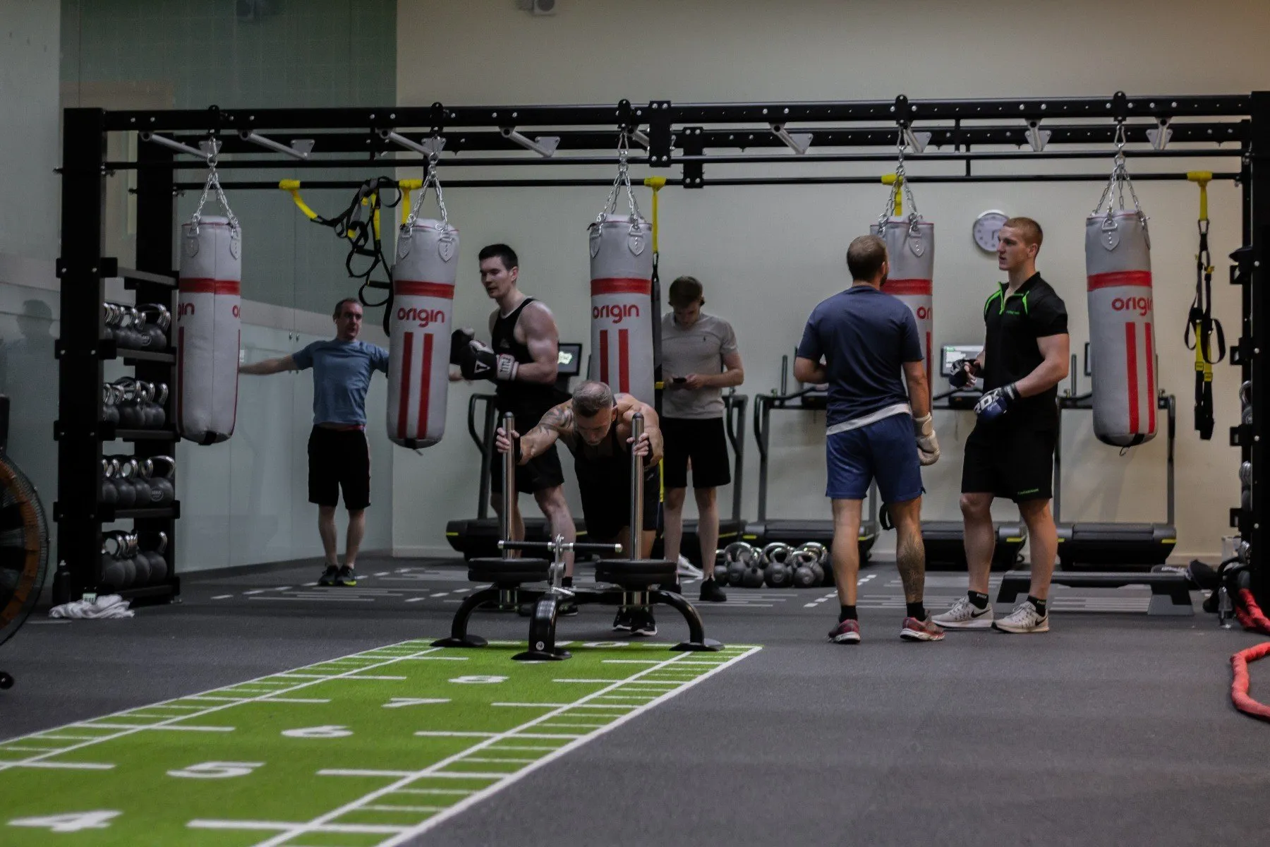 What To Know About Wellness Bodybuilding Program